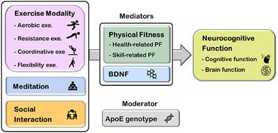 The multi-domain exercise intervention for memory and brain function in late middle-aged and older adults at risk for Alzheimer's disease: A protocol for Western–Eastern Brain Fitness Integration Training trial